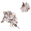Brown 03